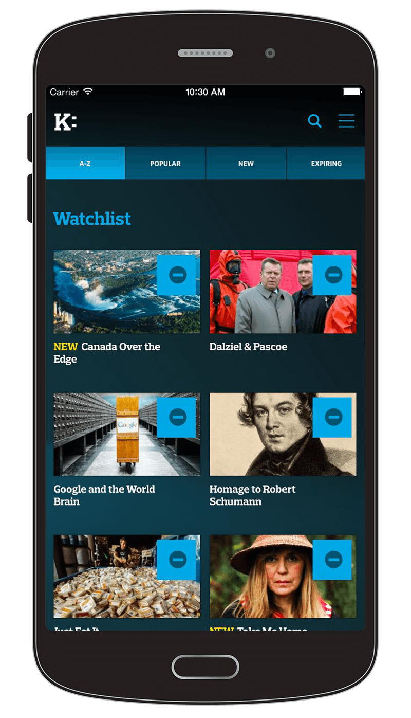 Knowledge Network