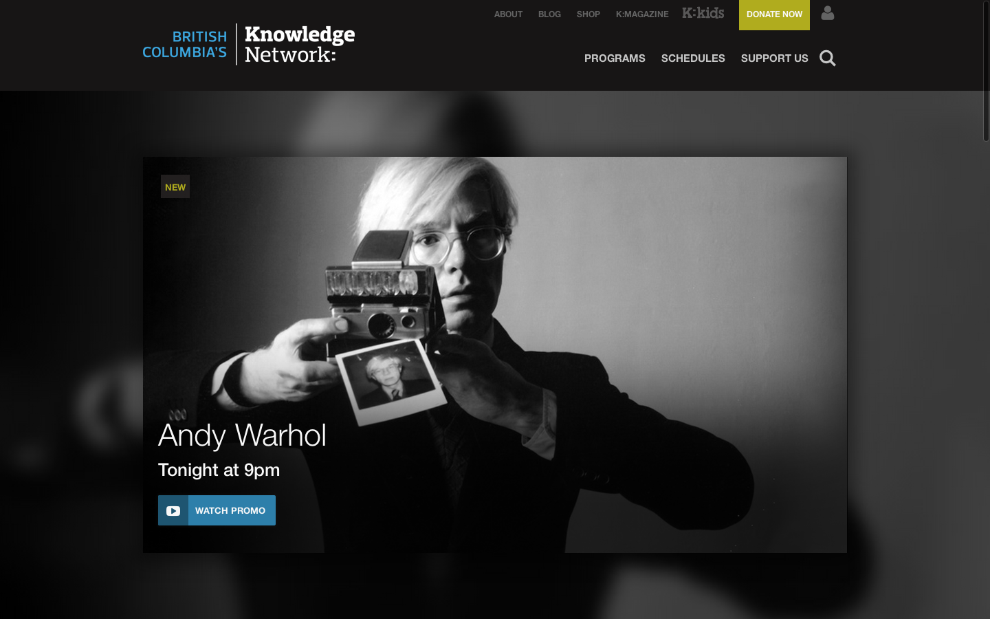 Knowledge Network Andy character